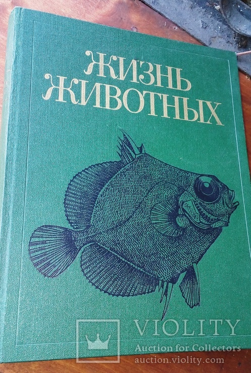 ЖИЗНЬ ЖИВОТНЫХ, т. 4. Рыбы. 1983 г. "Просвещение"