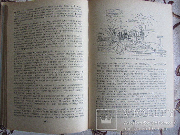 Абадашев И.и. Трагедия или гармония?, фото №5