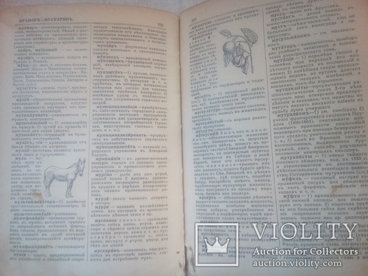 Словник іноземних слів з ілюстраціями Одеса липень 1914р., фото №6