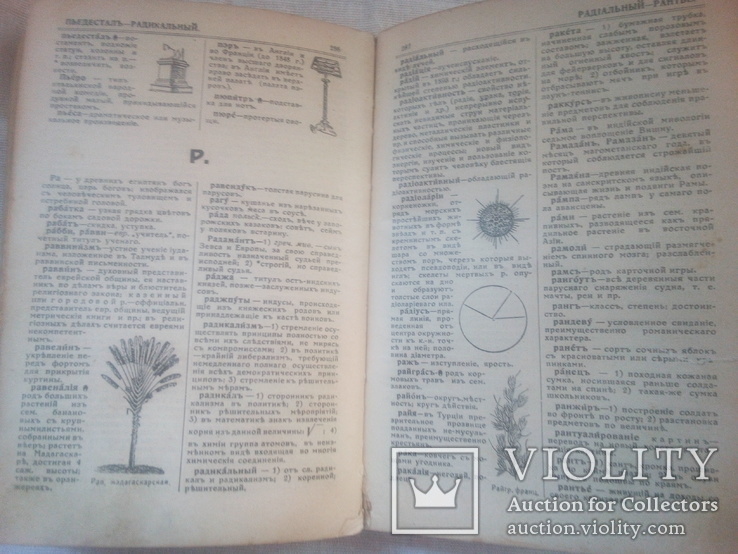 Словник іноземних слів з ілюстраціями Одеса липень 1914р., фото №8