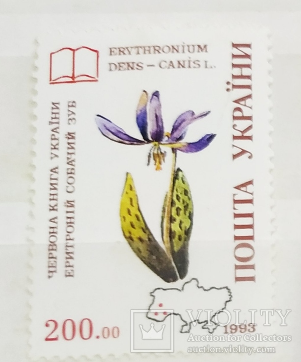 1993р флора України