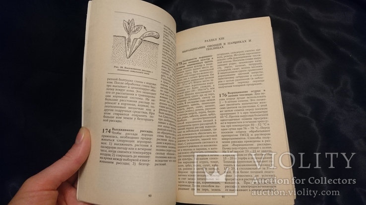 Овощеводу - любителю 770 советов.1993 г., фото №5