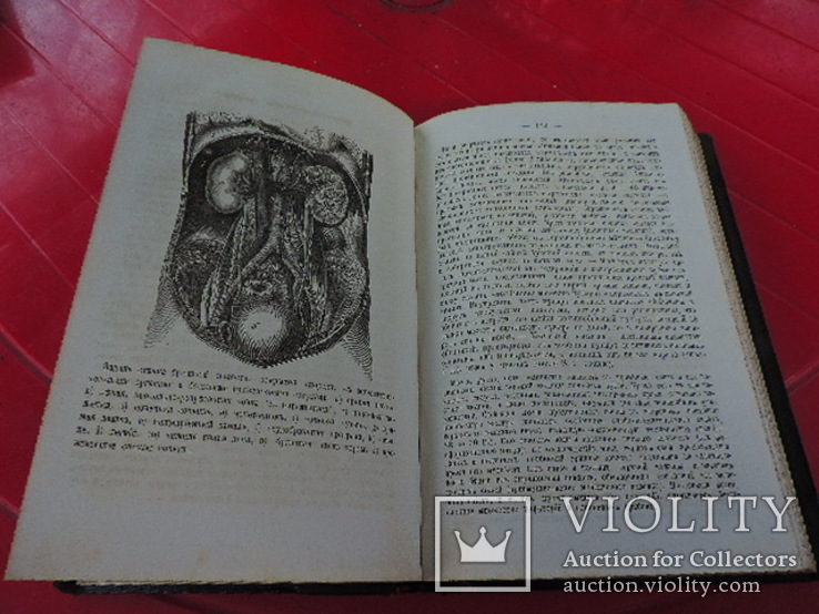 Книга о здоровом и больном человеке.д-р Бок.1865, фото №7