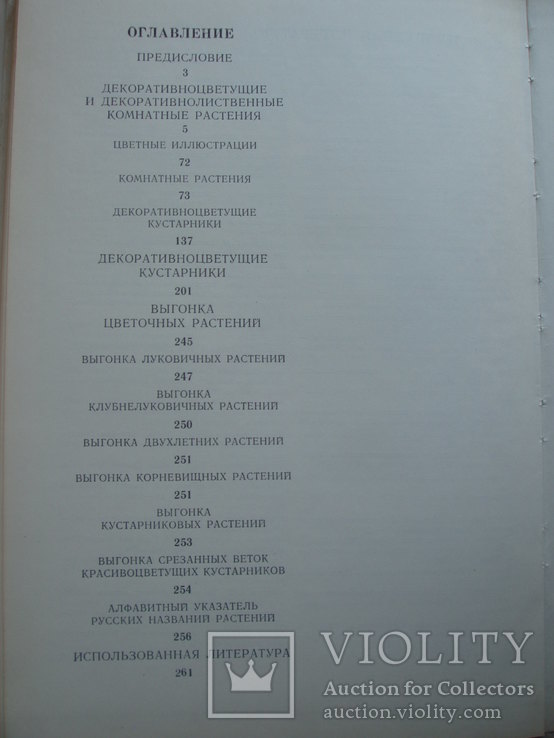 1981 Цветы комнатные растения декоративноцветущие кустарники, фото №3