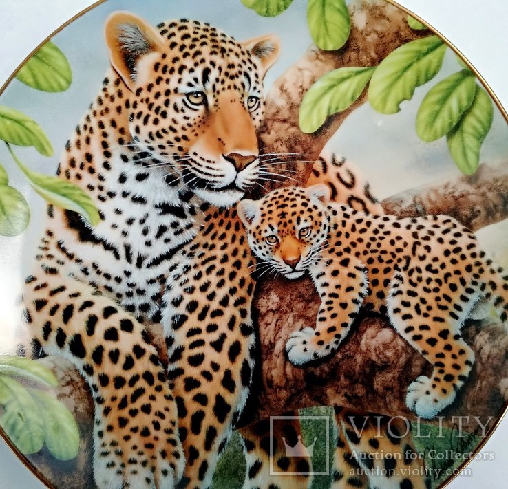"Леопарды" красивая декоративная коллекционная тарелка Англия фарфор, фото №4