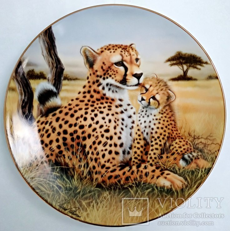"Гепарды" красивая декоративная коллекционная тарелка Англия фарфор, фото №2