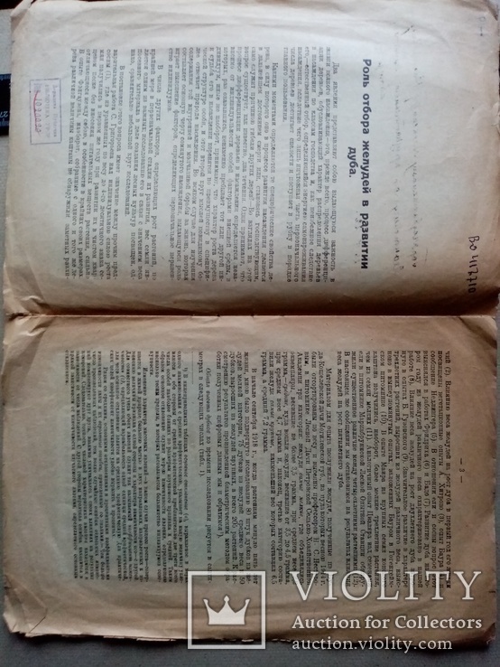 Роль отбора желудей в развитии дуба 1922 года. подпись автора, фото №3