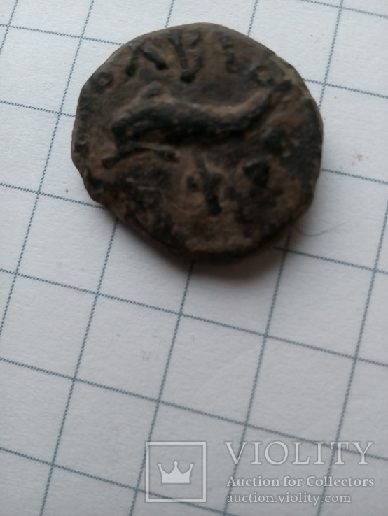 Монета ольвии