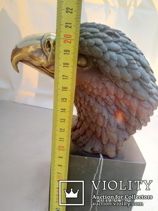 Голова белоголового орла бронза мрамор Европа 3,88 кг, фото №13