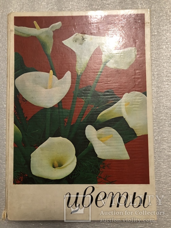 Цветы Комнатные растения и декоративноцветущие кустарники 1978г. №4