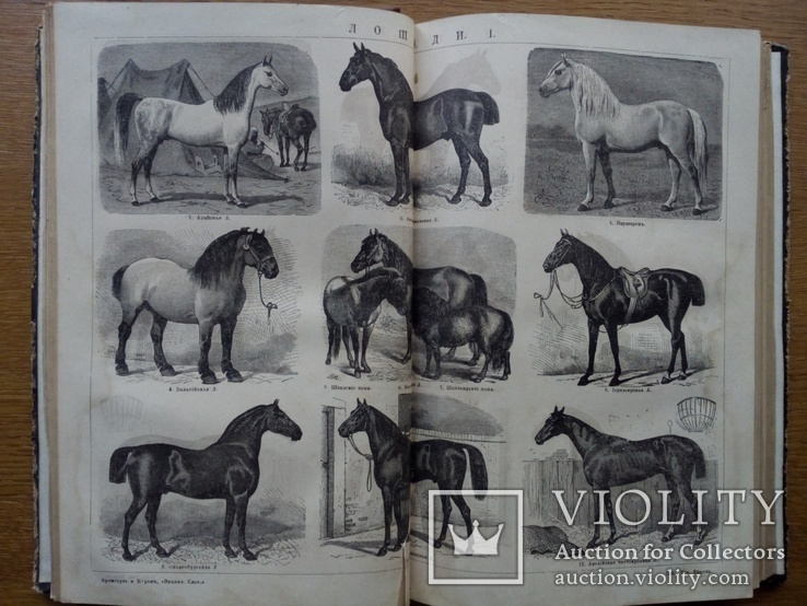 Енциклопедический словарь Брокгауз Ефрон 1890 г. 15 томов, photo number 9