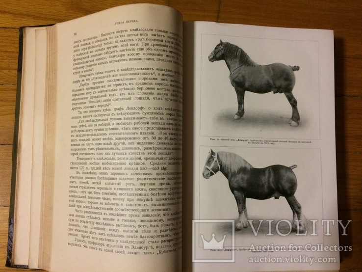 Книга о лошади князь С.П. Урусов в 2-х томах 3-е издание 1911 г., фото №12