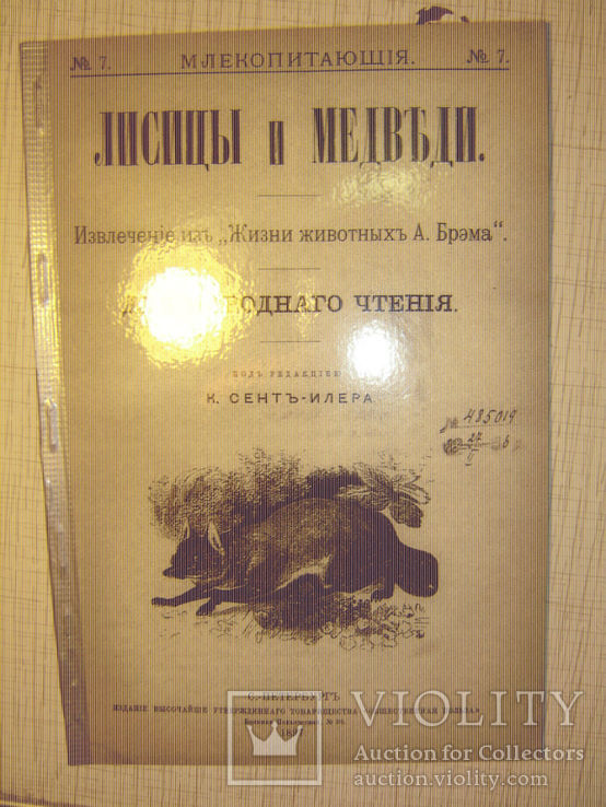 Лисицы и медведи. 1897г