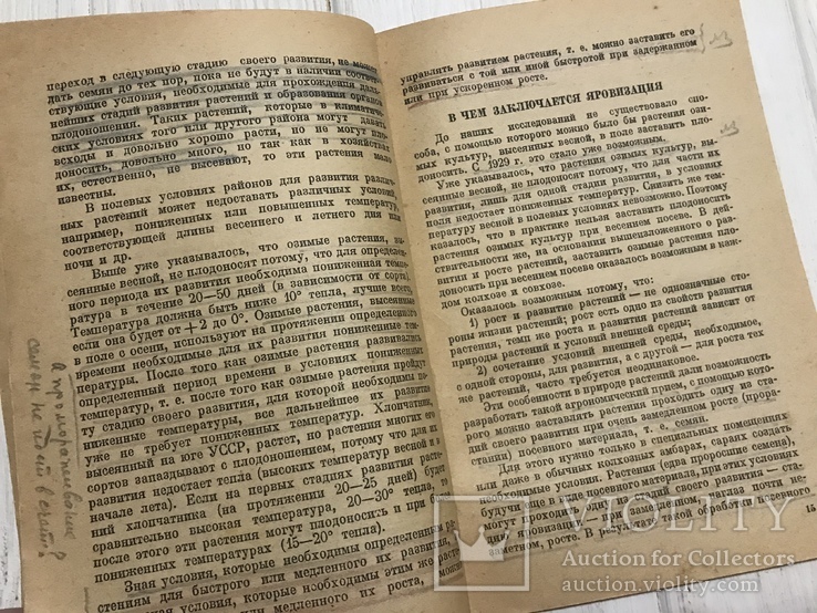 1936 Яровизация сельскохозяйственных растений: пшеница, ячмень, овёс, фото №9