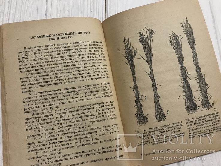 1936 Яровизация сельскохозяйственных растений: пшеница, ячмень, овёс, фото №11