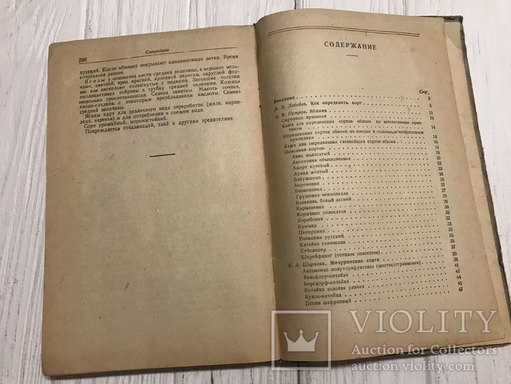 1941 Определитель сортов плодово-ягодных культур, фото №6