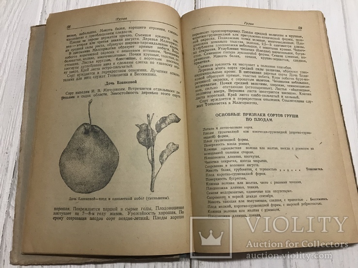 1941 Определитель сортов плодово-ягодных культур, фото №9