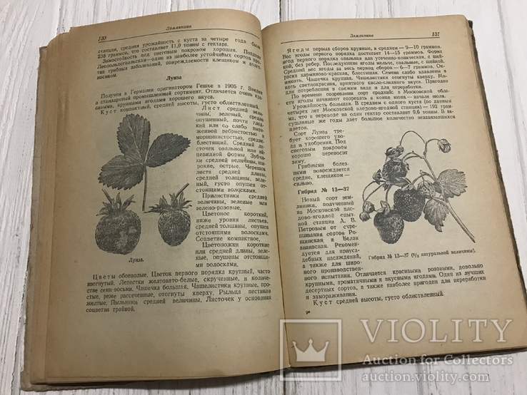 1941 Определитель сортов плодово-ягодных культур, фото №11