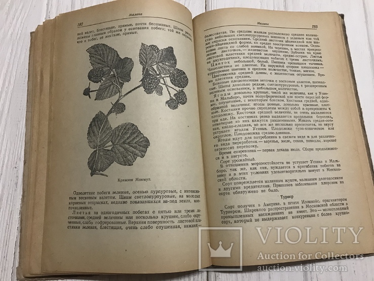 1941 Определитель сортов плодово-ягодных культур, фото №12