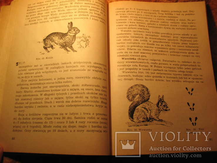 Для лесников и охотников 1971г (на польском яз), фото №8