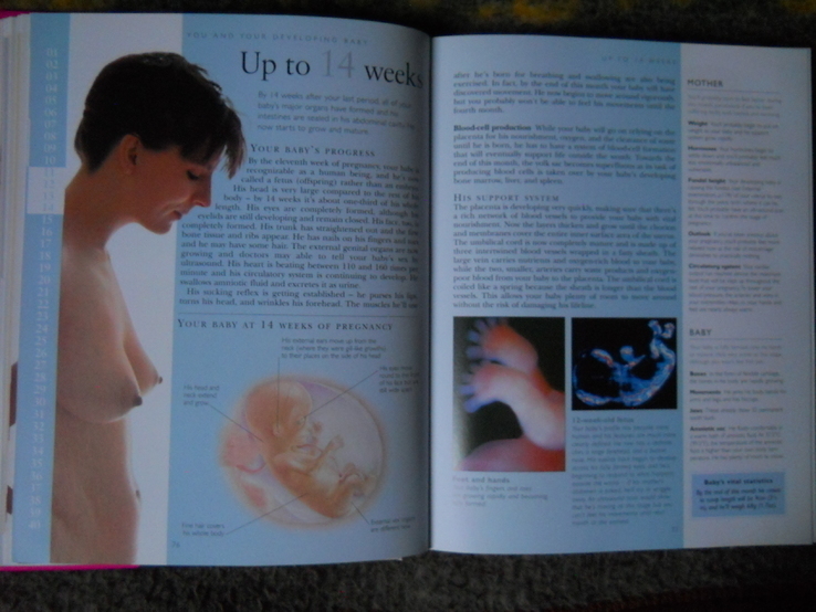 Книга о зачатии беременности ., фото №8