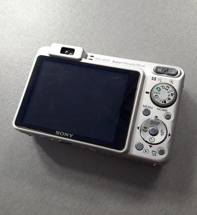 Фотоаппарат Sony Cyber-shot DSC-W170, numer zdjęcia 3