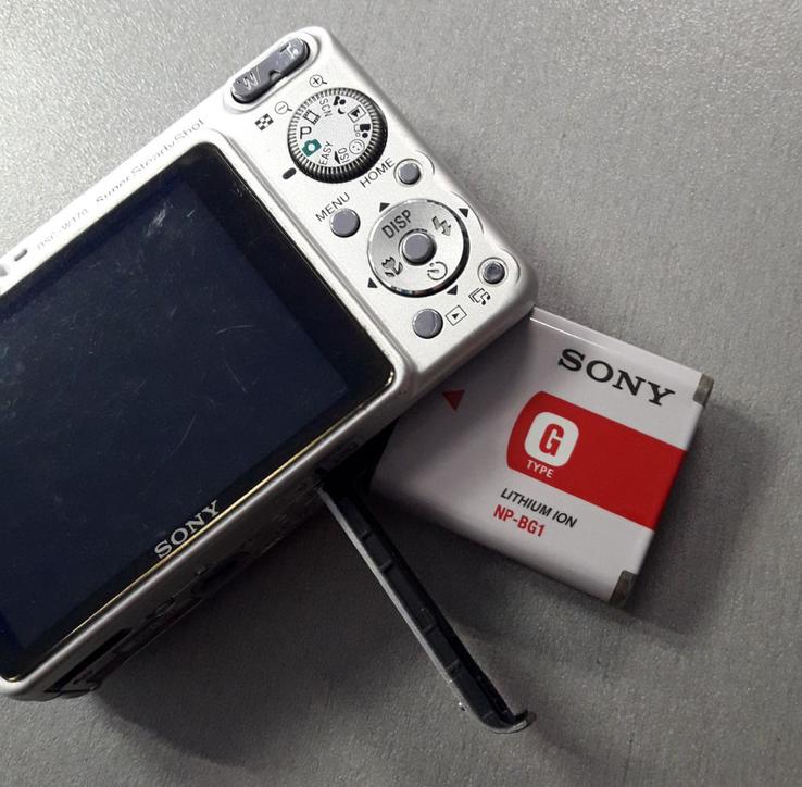 Фотоаппарат Sony Cyber-shot DSC-W170, фото №8
