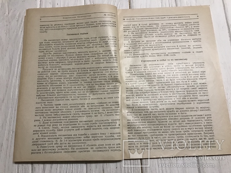 1930 Як поліпшити рогату худобу відповідно до темпів роботи: Українське скотарство, фото №6