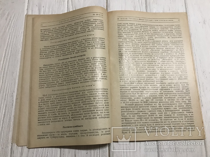 1930 Як поліпшити рогату худобу відповідно до темпів роботи: Українське скотарство, фото №9