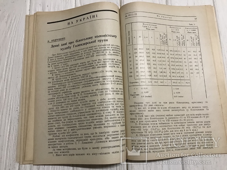 1930 Як поліпшити рогату худобу відповідно до темпів роботи: Українське скотарство, фото №12