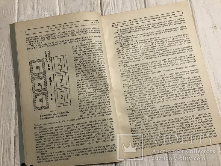 1930 Як організувати свинарстві господарства: Українське скотарство, фото №5