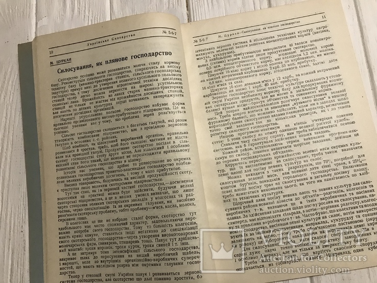 1930 Як організувати свинарстві господарства: Українське скотарство, фото №6