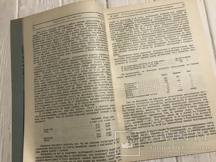 1930 Як організувати свинарстві господарства: Українське скотарство, фото №7