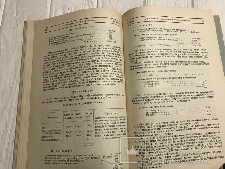 1930 Як організувати свинарстві господарства: Українське скотарство, фото №11