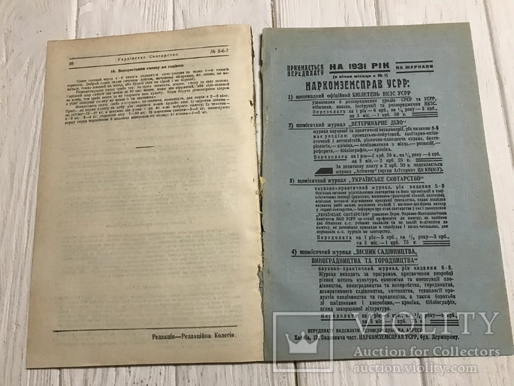 1930 Як організувати свинарстві господарства: Українське скотарство, фото №12