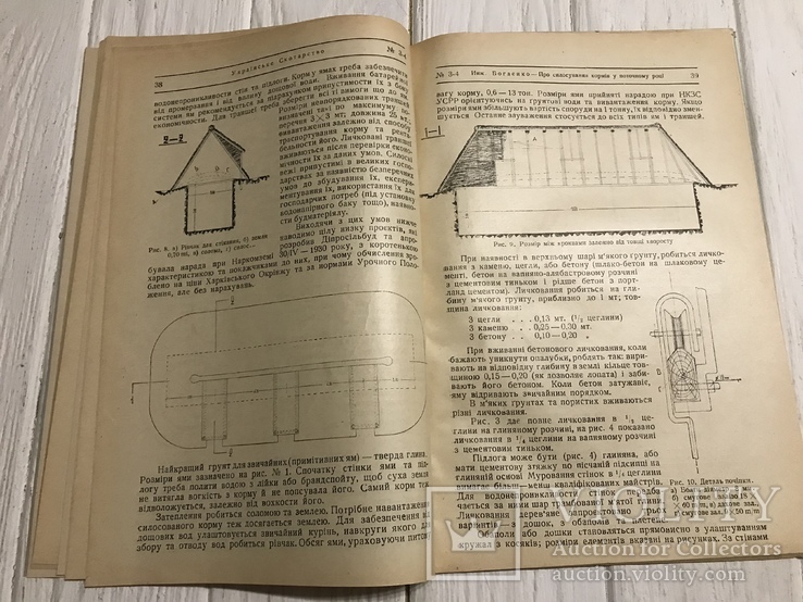 1930 Українське експортове масло: Українське скотарство, фото №10