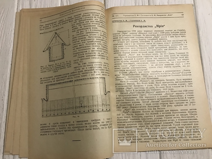 1930 Українське експортове масло: Українське скотарство, фото №11