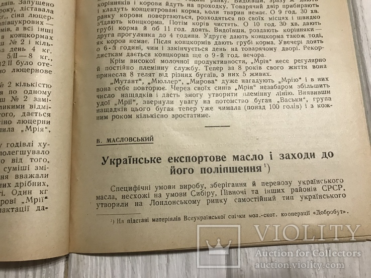 1930 Українське експортове масло: Українське скотарство, фото №12