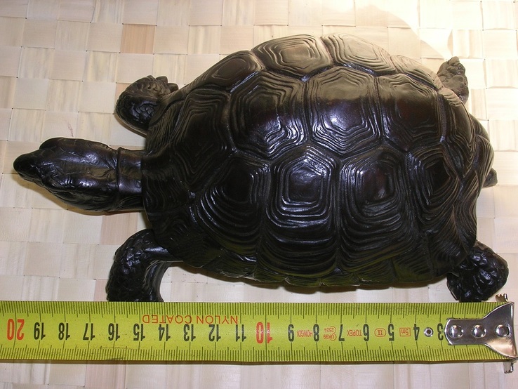 Большая черепаха, numer zdjęcia 2