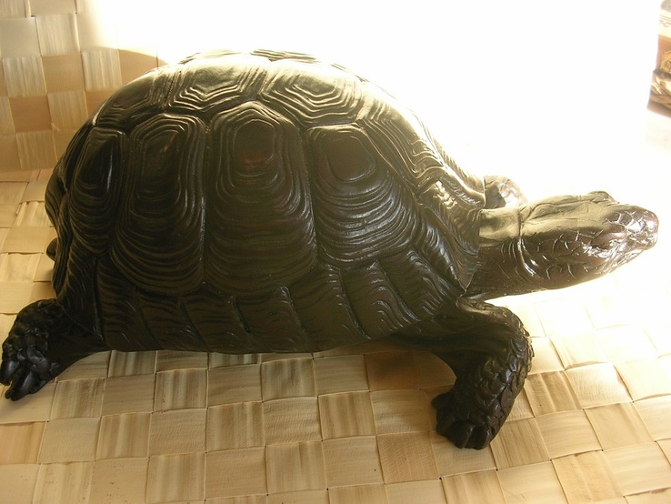 Большая черепаха, numer zdjęcia 3