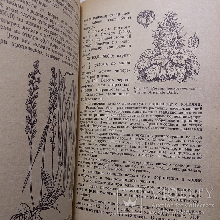 Попов "Лекарственные растения в народной медицине" 1969р., фото №4