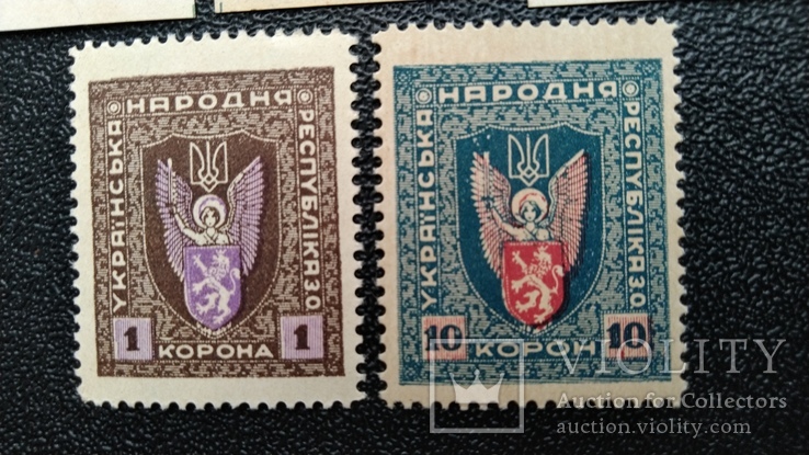 1919 г З.0.УНР Західні області Української Народної Республіки, фото №4