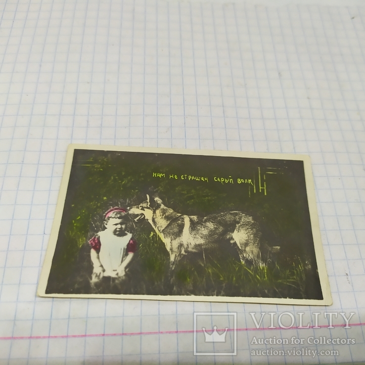 Фото открытка Нам не страшен серый волк. 85х50мм, фото №2