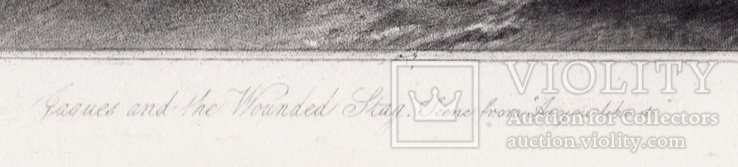 Гравюра. Дж. Констебл - Лукас. "Раненый олень". До 1840 года. (42,8 на 29 см). Оригинал., фото №6