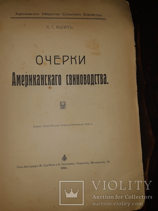 1911 Очерк американского свиноводства