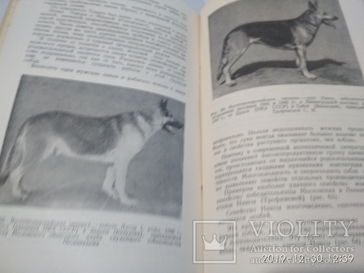 1954г Племенное Дело в Служебном Собаководстве Досааф, фото №7