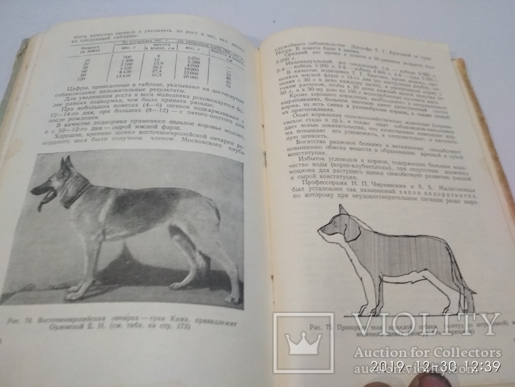 1954г Племенное Дело в Служебном Собаководстве Досааф, фото №11