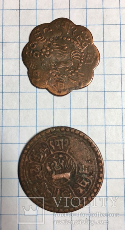 Монеты Гималайских стран, фото №2