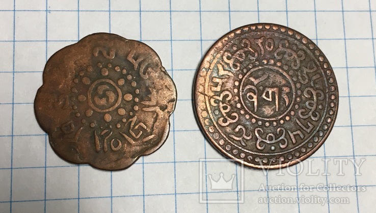 Монеты старые стран Гималаев., фото №3