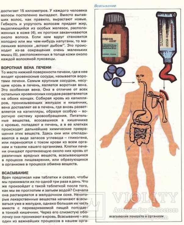 Детская энциклопедия здоровья.1987 г., фото №6